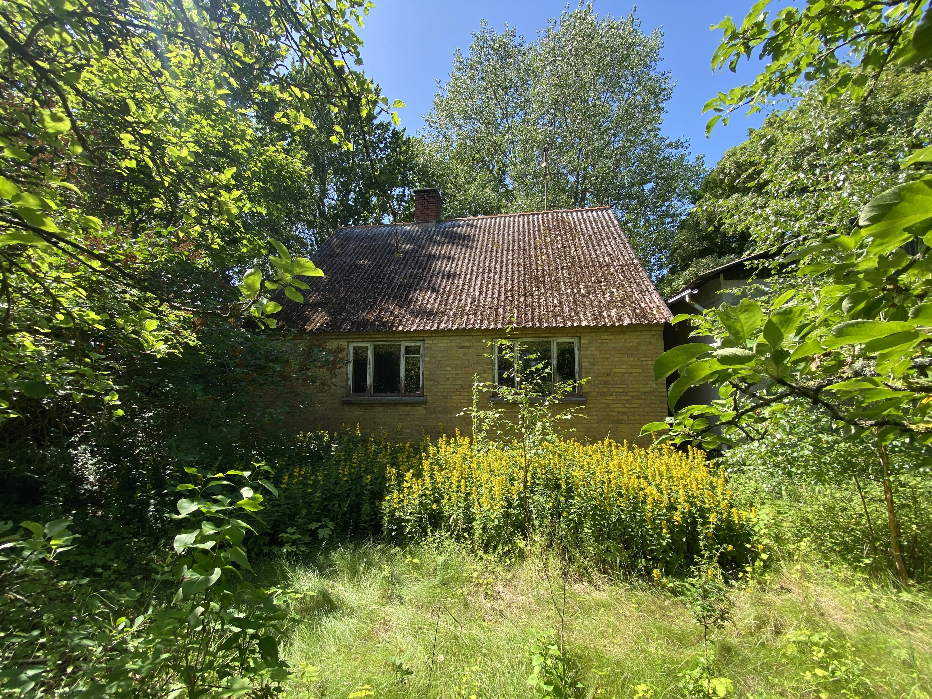 Villa: Bankehusene 11, 4420 Regstrup - Visning 3