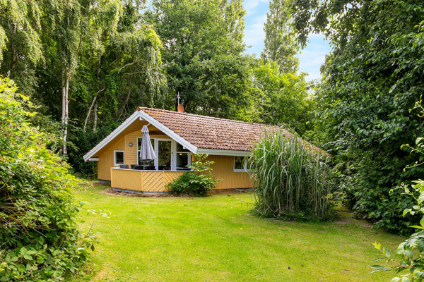 Set fra haven