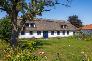 Set fra haven