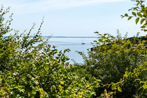 Havudsigt