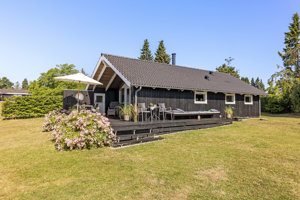 Set fra haven