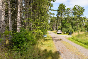 Indkørsel