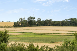 Omgivelser
