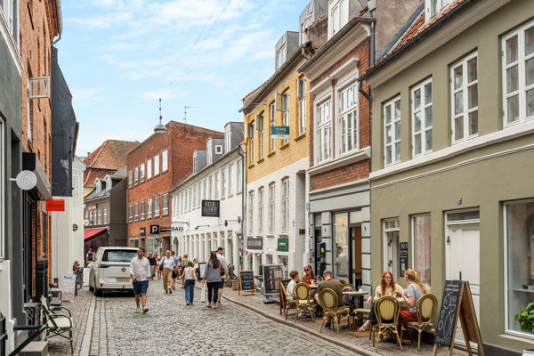 Set fra vejen