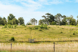 Omgivelser