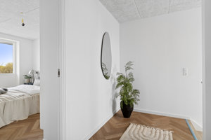 Alternativ indretning