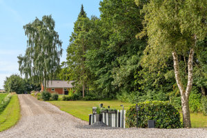 Indkørsel