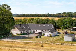 Ejendommen