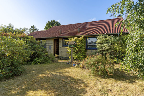 Set fra haven