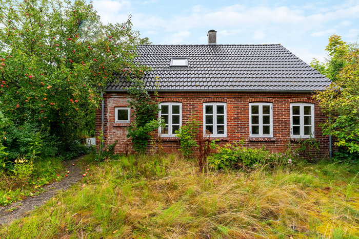 Set fra haven