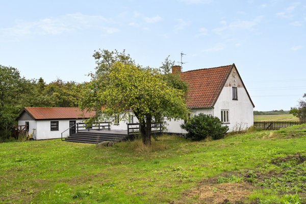 Set fra haven