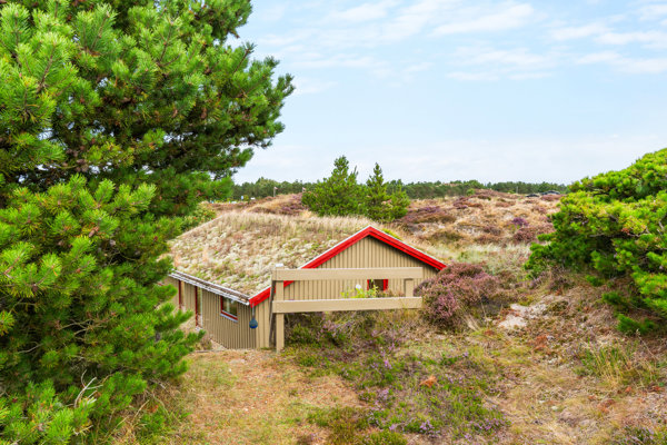 Område