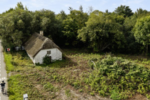 Ejendommen
