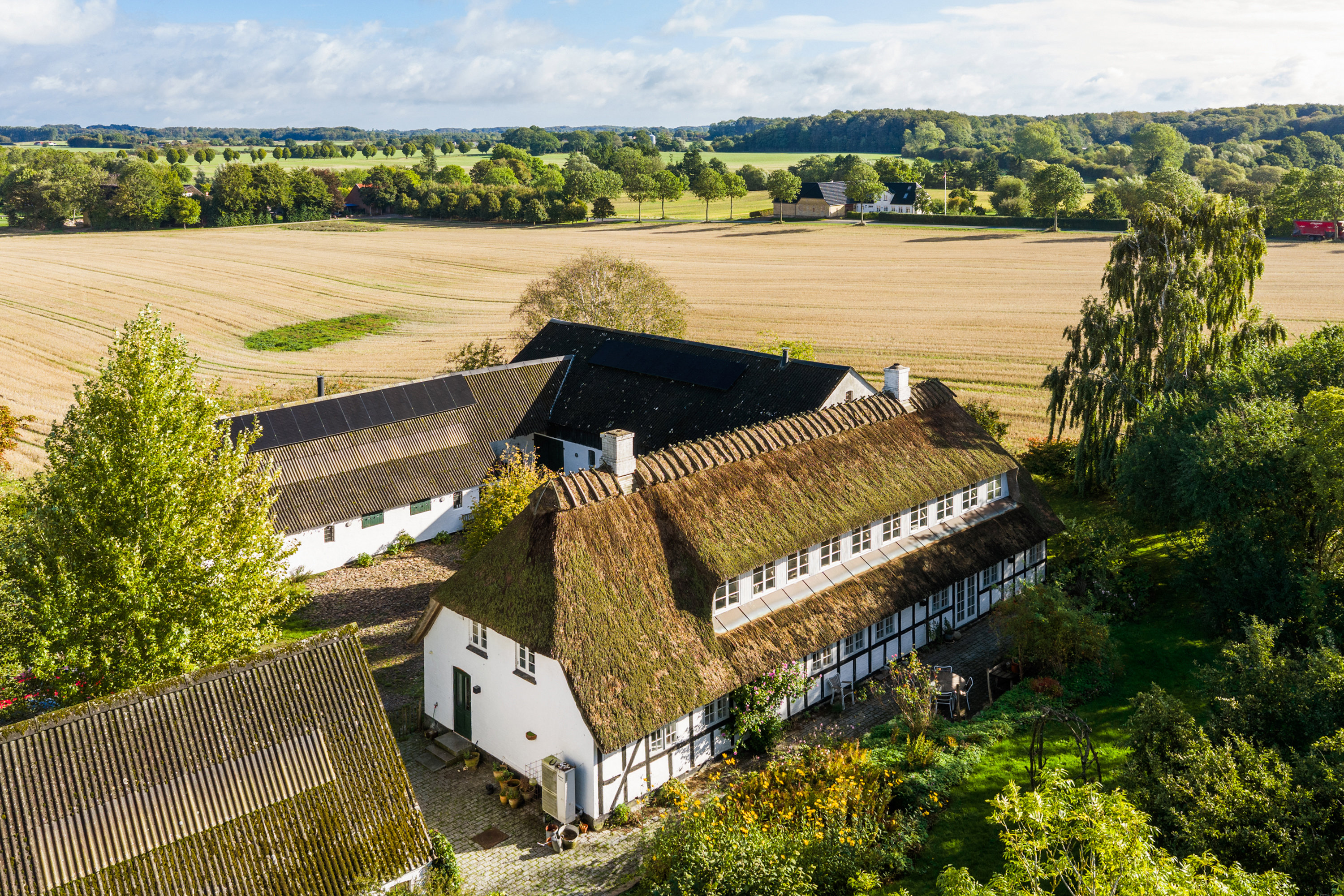 Lydinge Haver 3
