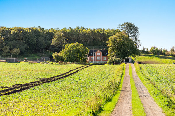 Indkørsel