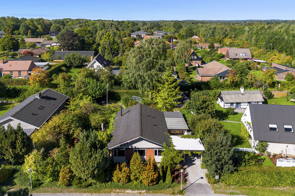Område