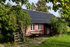 Set fra haven