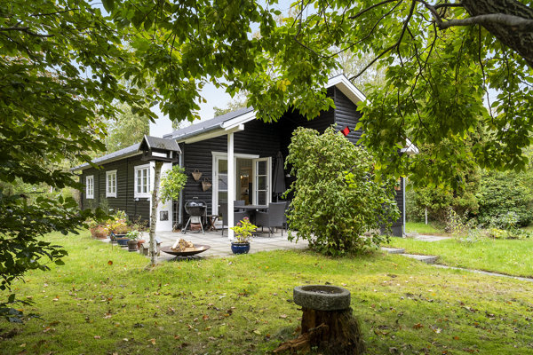 Set fra haven