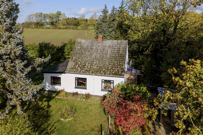 Ejendommen