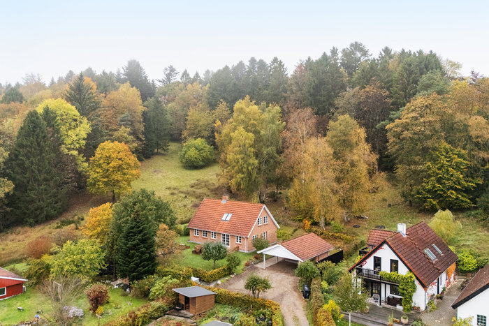 Område